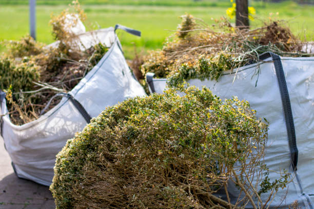 Trash Removal Near Me in Belmar, NJ
